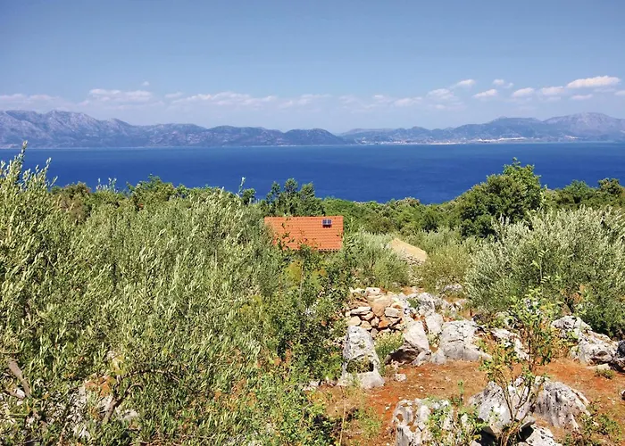 بيت للعطل Bb Vi